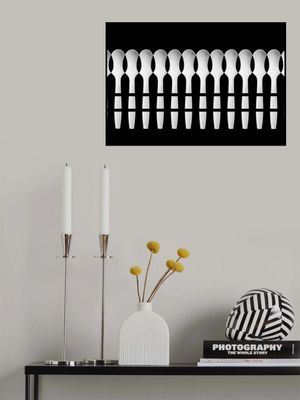 Spoons Abstract: Fence