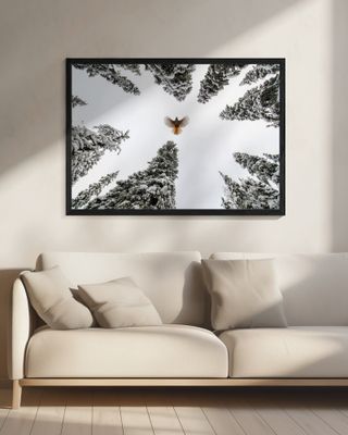 Spread your wings and fly