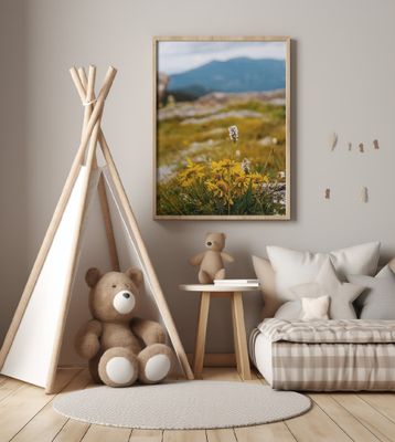 Rocky Mountain Wildflowers