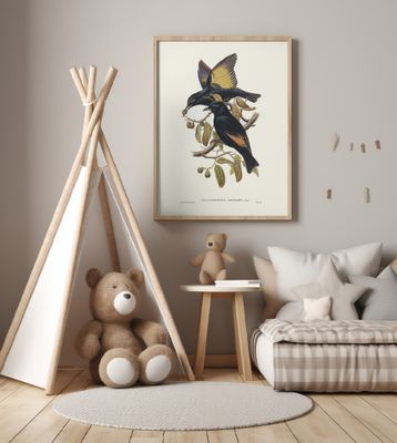 Rawnsley's Bower Bird