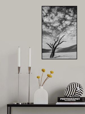 Solitary Tree In A Desert Landscape