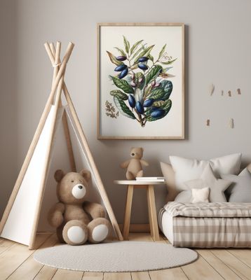 Beilschmiedia Taiaire Tawa Drawn By Sarah Featon (1848–1927)