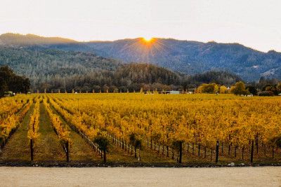 Welcome to Napa Valley