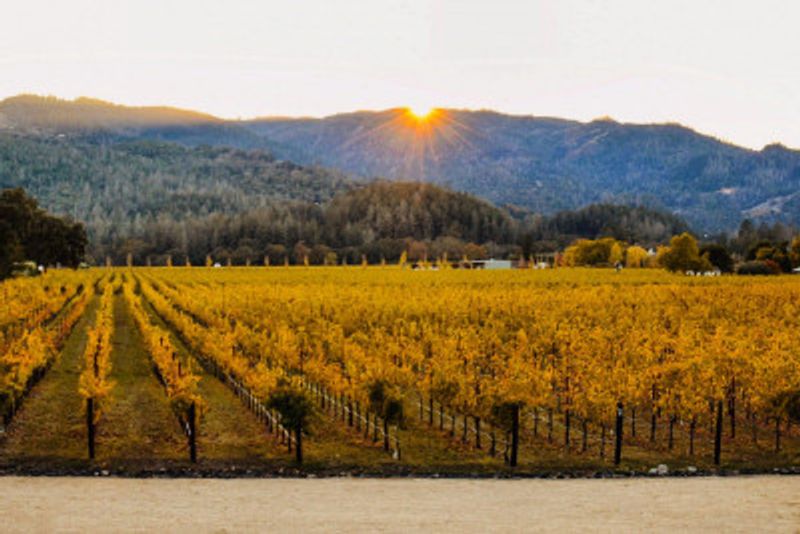 Welcome to Napa Valley