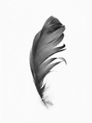Feather