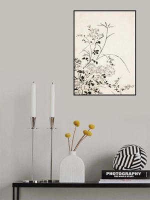 Autumn Flowers and Grasses (1762)