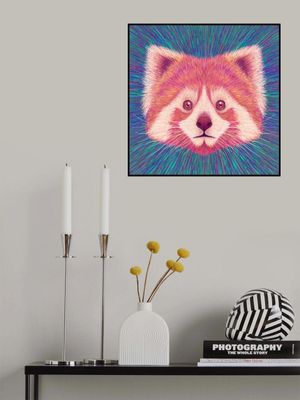 Animal Face   Red Panda