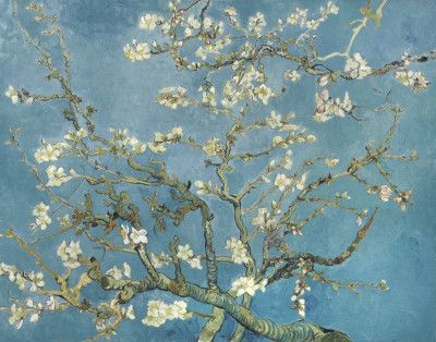Vincent Van Gogh's Almond Blossom (1890)