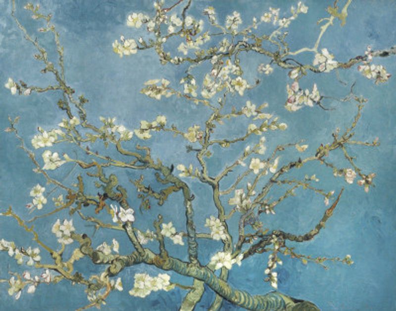 Vincent Van Gogh's Almond Blossom (1890)
