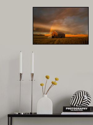 Witness of the Rainbow