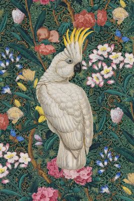 A Cockatoo In the Conservatory   Groen