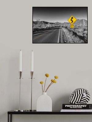 SAGUARO NATIONAL PARK Bajada Loop Drive