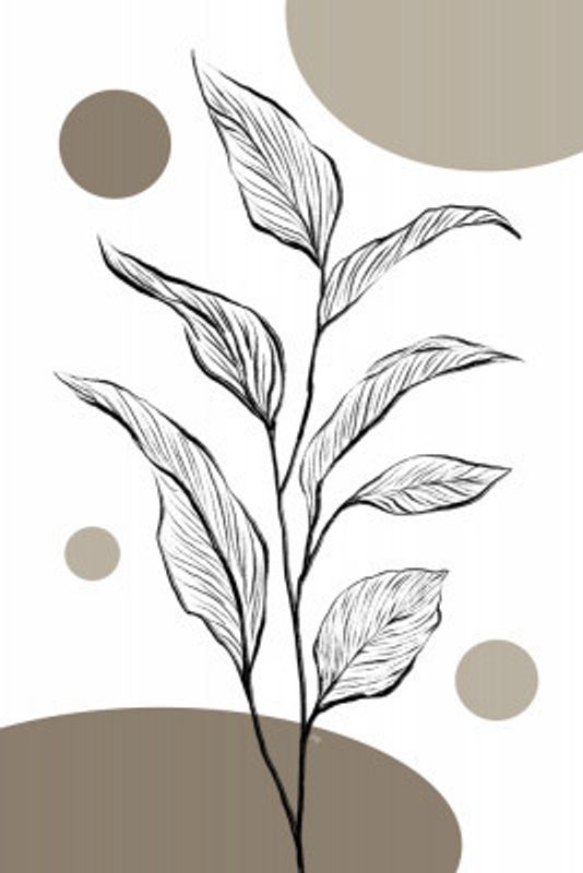 Monochrome Plant Sketch