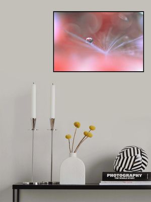 Alliance Of Light...II