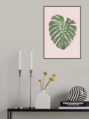 Monstera Leaf Blush