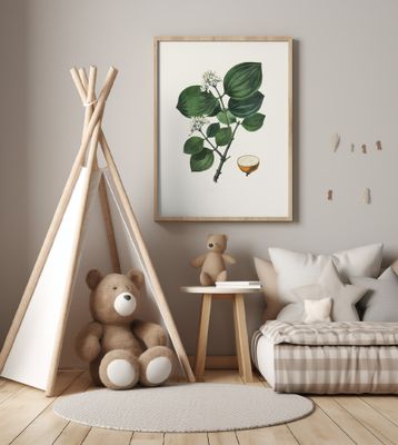 Poison Nu (strychnos Nux Vomica) Medical Botany