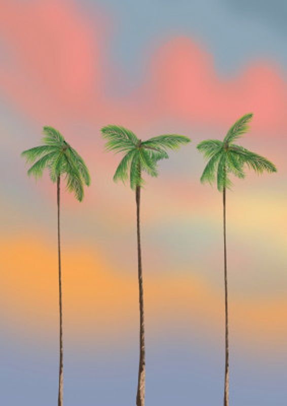 Three Tall Palm Trees
