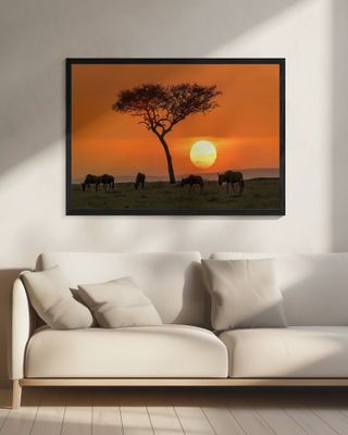 Safari sunset