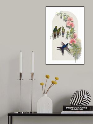 Black Backed Thornbill