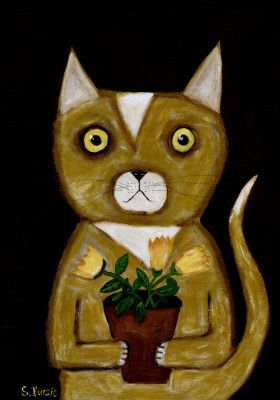 Pot Plant Cat black background