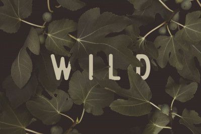 Wild Nº1