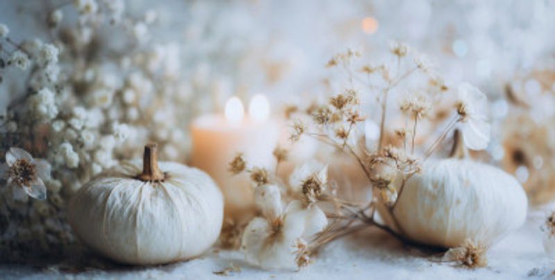 Whiteautumnimpressionno01