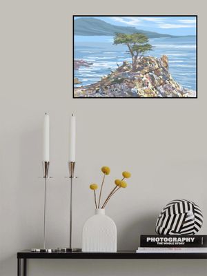 Quiet Sentinel, 17 Mile Drive, California, USA