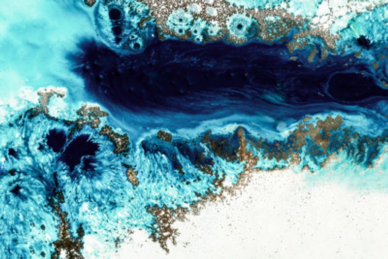 Soothing - Ocean Alive