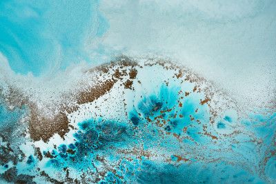 Coastal Luxe - Sea Life