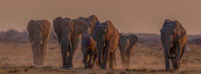 running towards the water
