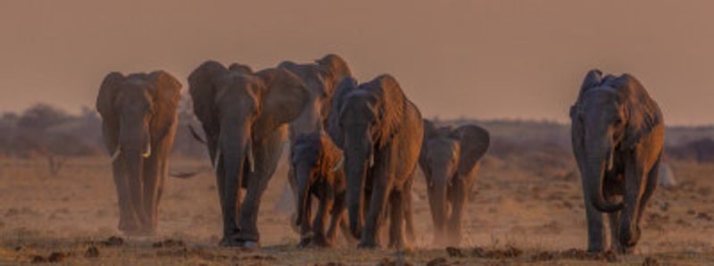 running towards the water