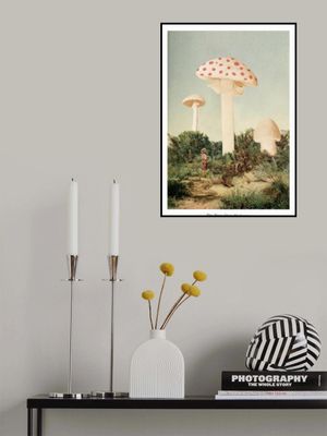 The Finest Giant Mushroom