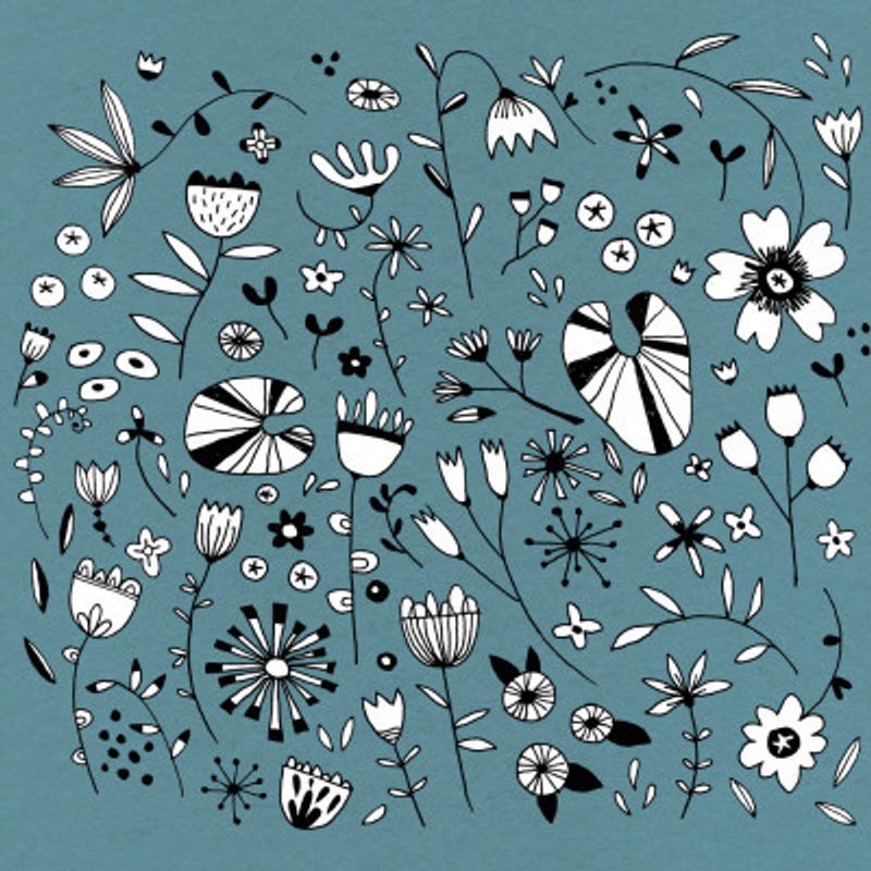 Flower Drawings