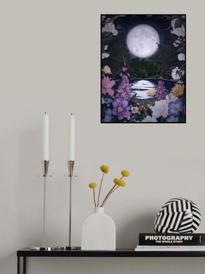 Moon Garden Reflections