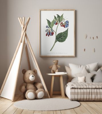 Symphyum Asperrim 1806   Flower Garden Displayed By Francis Sansom