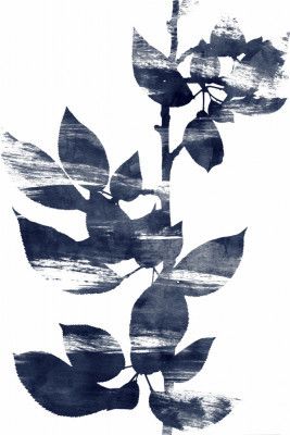 Deep Ecology 2 Bluegrey