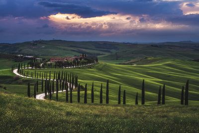 Tuscany - Crete Senesi