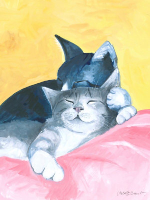 Siesta Cats Abstract