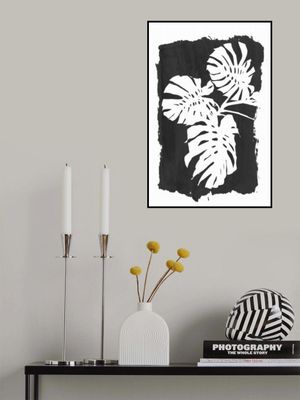 Black Monstera Leaves Silhouette