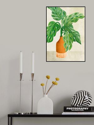 Mini Monstera