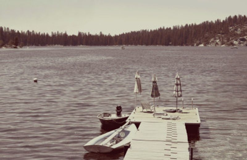 Vintage Lake Life I
