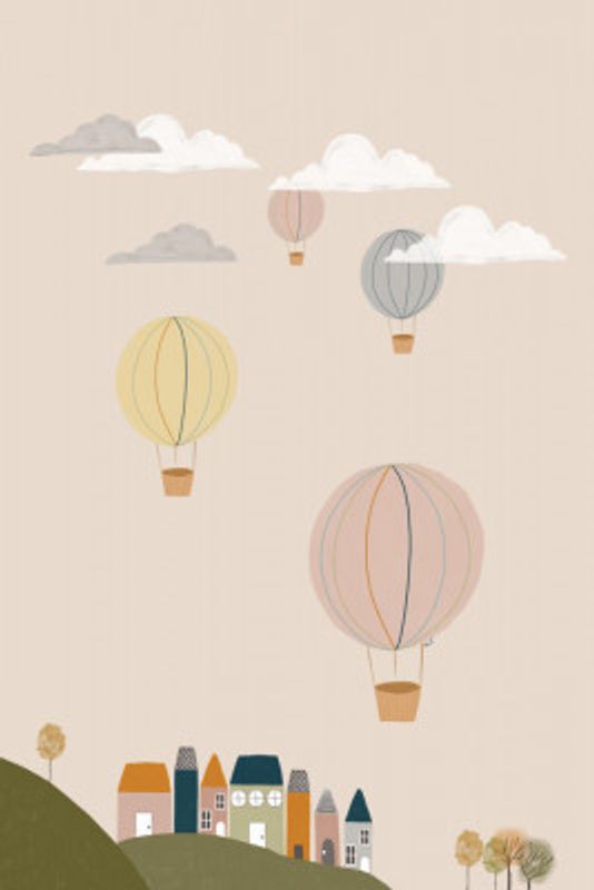 Hot Air Balloons