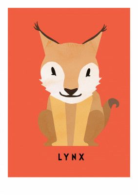 Lynx