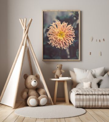 Chrysanthemum with Pink and Yellow Hues