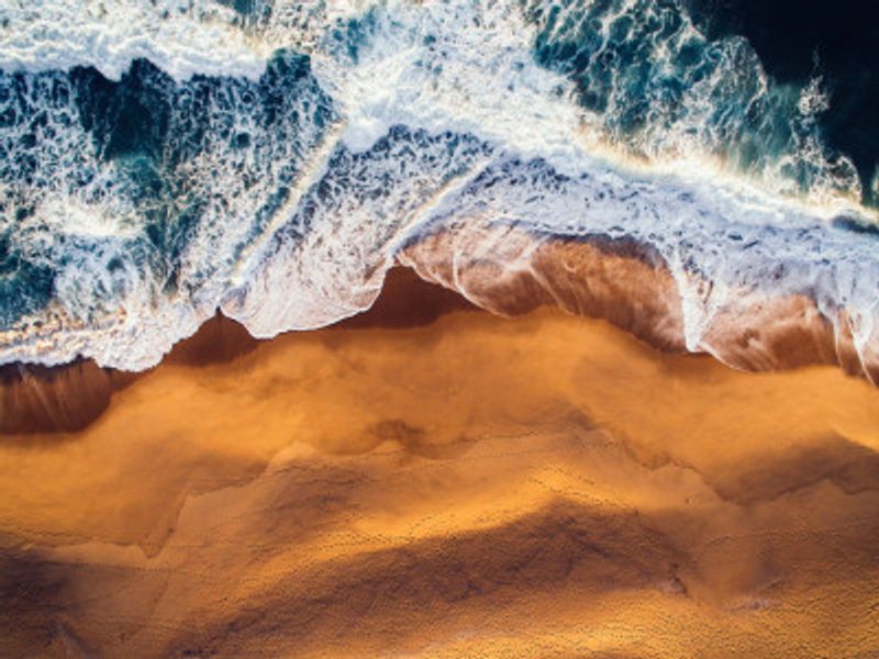 Ocean's Edge Harmony