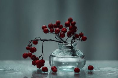 ...simply Red &amp; Wet