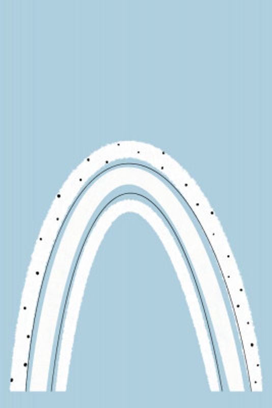 Black and White Rainbow