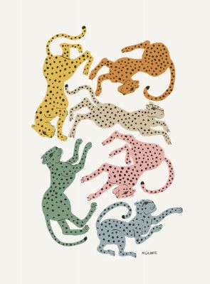 Colorful Cheetahs