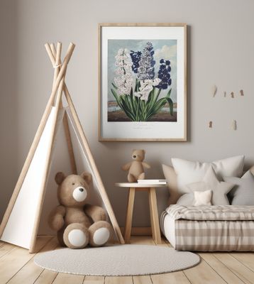 Hyacinths from The Temple of Flora (1807)