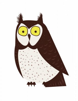 Stylized Cartoon Owl